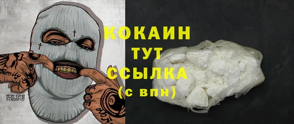 дурь Арсеньев