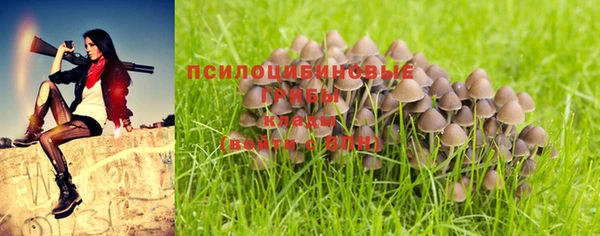 бошки Аркадак