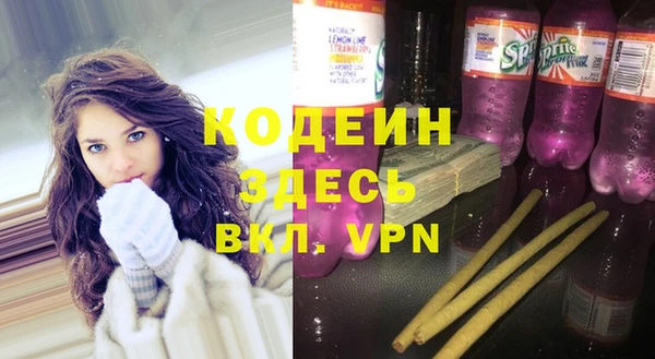 дурь Арсеньев