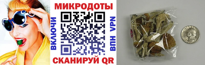 Псилоцибиновые грибы Cubensis  купить  цена  Рыльск 